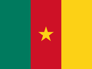 Flag of Cameroon