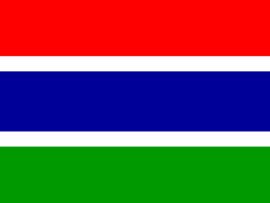 Flag of The Gambia