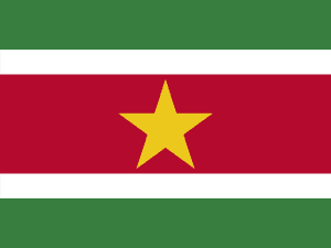 Flag of Suriname