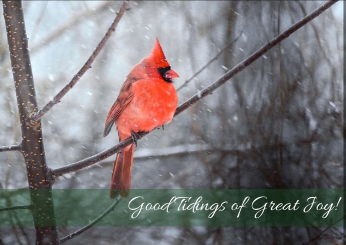 2022 Winter Newsletter